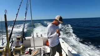 200 Pound Bluefin Tuna Fishing East of Cape Cod, MA