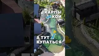 Создание пруда для купания и карпов кои. Плавательный пруд с прозрачной водой для базы отдыха #пруд