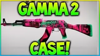 Gamma 2 Case Skins
