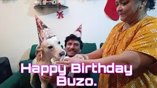 Buzo ka 4th Birthday Celebration