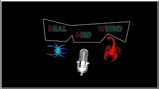Real and Weird Podcast Ep 01