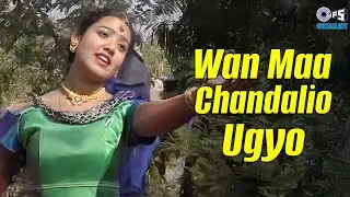 Wan Maa Chandalio Ugyo | Piyu No Rang | Arvind Barot | Gujarati Devotional Song