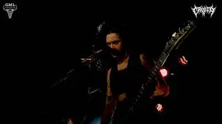 Crypta LIVE concert video / Randal club