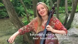 She Moved Through the Fair - by The Celtic Cello