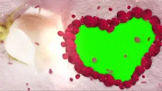 Premium Red Rose Petals Romantic Slideshow Green Screen Video Template | FREE TO USE | iforEdits