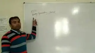 Binary Symmetric Channel