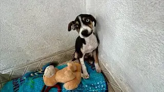 De qué murió Nico? Te sorprenderás 