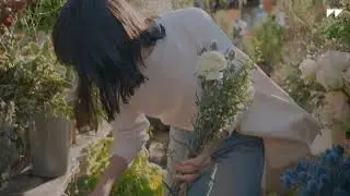 everlane final de verdad wix