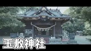 藤とイチョウが境内を美しく彩る　玉敷神社【開運埼玉神社巡り　#百聞は一詣にしかず】