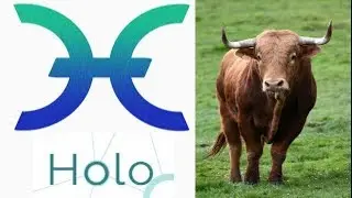 HoloChain(Hot) BULLRUN! BUT Is is a Good investment? Holo (HOT) Could Be BIG
