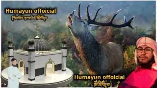 No copyright free Islamic music #foryou #background music #Islamic music 