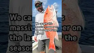 We caught this Monster on the last day of Snapper Season!  #fishing #snapper
