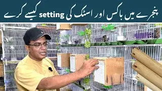 Box and Stick Setting in cage || How to set Box and Stick in cage|| How to Install Box and Stick