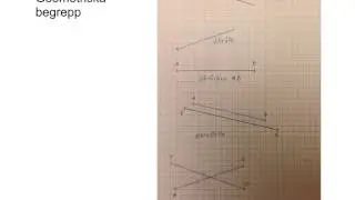 Geometriska begrepp, linje och str&auml;cka