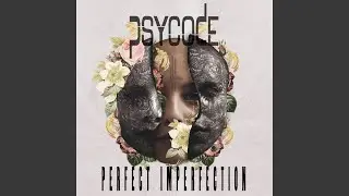 Perfect Imperfection