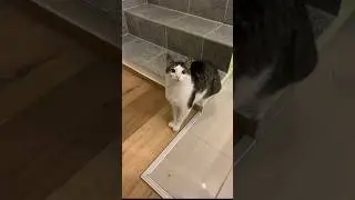 50% loafing