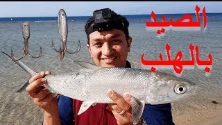تعلم تقنيه الصيد بالهلب لصيد اسماك البوري والسلماني