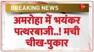 Amroha Violence Update: अमरोहा में भयंकर पत्थरबाजी! मची चीख-पुकार Breaking News | UP | Stone Pelting