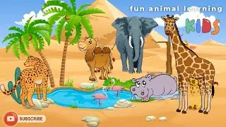 animal planet for kids - animal sounds - fun animal learning
