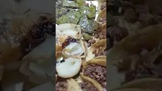 Exquisita Rosca de Reyes de Tacos de la Taquer&iacute;a Los G&uuml;eros Arag&oacute;n CDMX