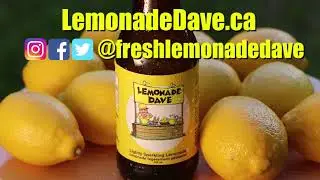 Lemonade Dave Commercial - Annelise Noronha