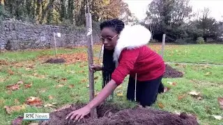 Putting Down Roots - RTE News 23.11.2021