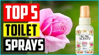 Top 5 Best Toilet Sprays in 2022 Reviews