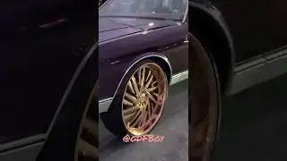 Box Chevy on All Rose Gold Savini 26s