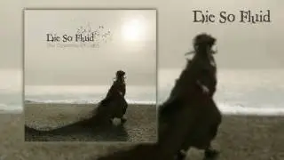 Echo Of A Lie (Official Audio) - DIE SO FLUID