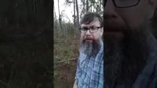 The Bearded Presidents, led by Trump, attempt to drain the swamp.