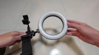 Live Light Holder WS-868