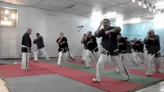 Yoseikan budo Algeria
