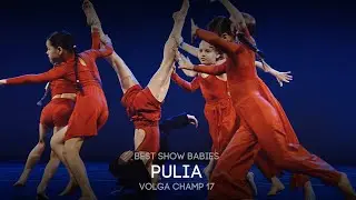 Volga Champ 17 | Best Show Babies | PULIA