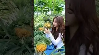 Fruit Farming India 🍎🍊 | High Profit Farming | A to Z Guide Hindi #farming