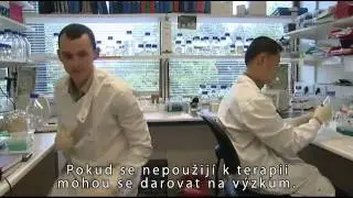 Příběh kmenových buněk
