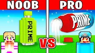 NOOB vs PRO: PRIME House Build Challenge in Minecraft With Crazy Fan Girl!