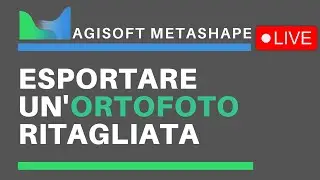 Agisoft Metashape Live: Esportare un'ortofoto ritagliata