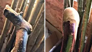 From Stick To Shillelagh