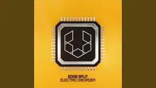 Electric Disorder