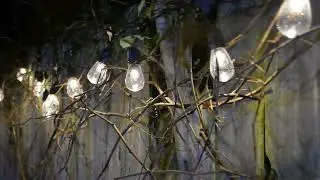 Best Light Bulbs for Kitchen