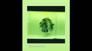 Paytrid - What's Popping (Freestyle)