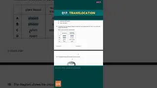 IGCSE Биология - Тест с множественным выбором (экзаменационная работа 2, расширенный вариант) - э...