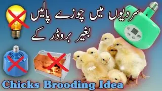 Pets Brooding Heater | Chicks Brooding Lamp | MT3109 | Heater for Pets and chicks