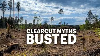 Clearcut Myths Busted: Wildlife & Timber Thrive with One-Step | Plus Epic Gator Hunt!