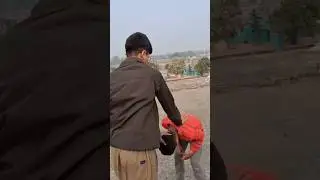 UGC act ☠️ #india #politicalnews #comedy #trending #ytshorts #ugc #ugc2026 #viral