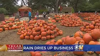 North Texas Feeling Social Impact From Rain Drying Up Business
