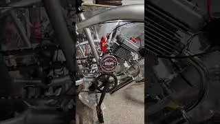 BT Bruiser 100cc Felt Faker motorized bicycle 1 gallon gas bike