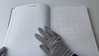 Еженедельник репетитора
