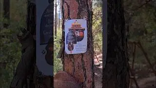 Only You Can Prevent Forest Fires #fire #forestfire #explore #campfire