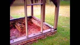 Touring Old Rice Plantation in S.C.
